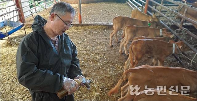 김창순 제주 서귀포 색달목장 대표가 송아지에게 먹일 꿀을 준비하고 있다.