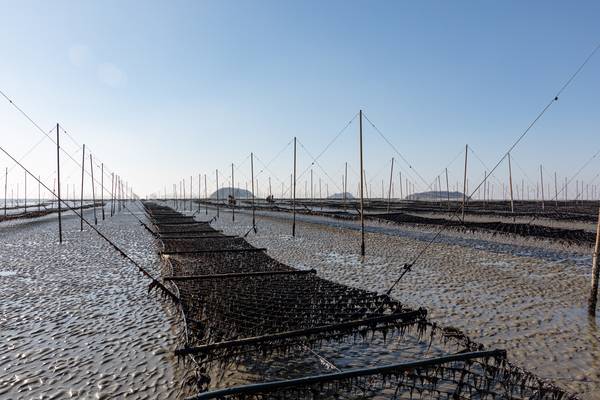 인천 옹진군 북도면 장봉도 인근 해역에 위치한 물김 양식장. /옹진군 제공
