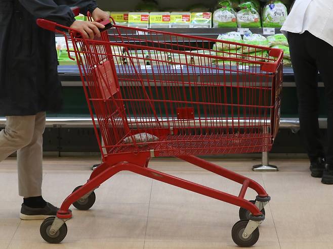 서울의 한 마트에서 한 손님이 카트를 밀고 있다. 해당 사진은 기사 내용과 무관. /뉴스1