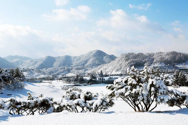 CcXXXEJUsAAQUqd.jfif.ren.jpg 의외로 잘 모르는 겨울풍경맛집 대학.jpg 의외로 잘 모르는 겨울풍경맛집 대학.jpg