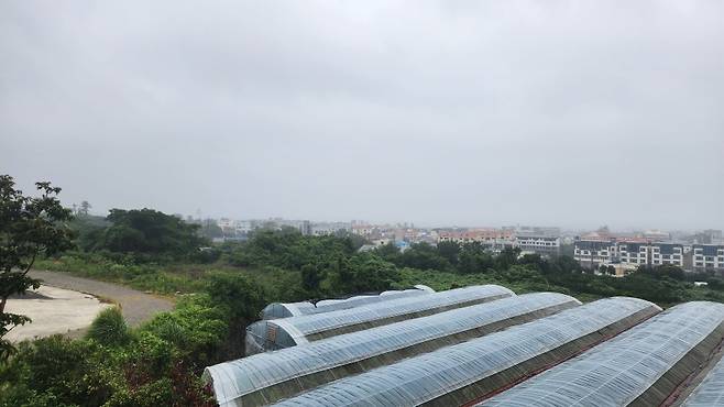 소나기와 안개비가 이어지는 제주