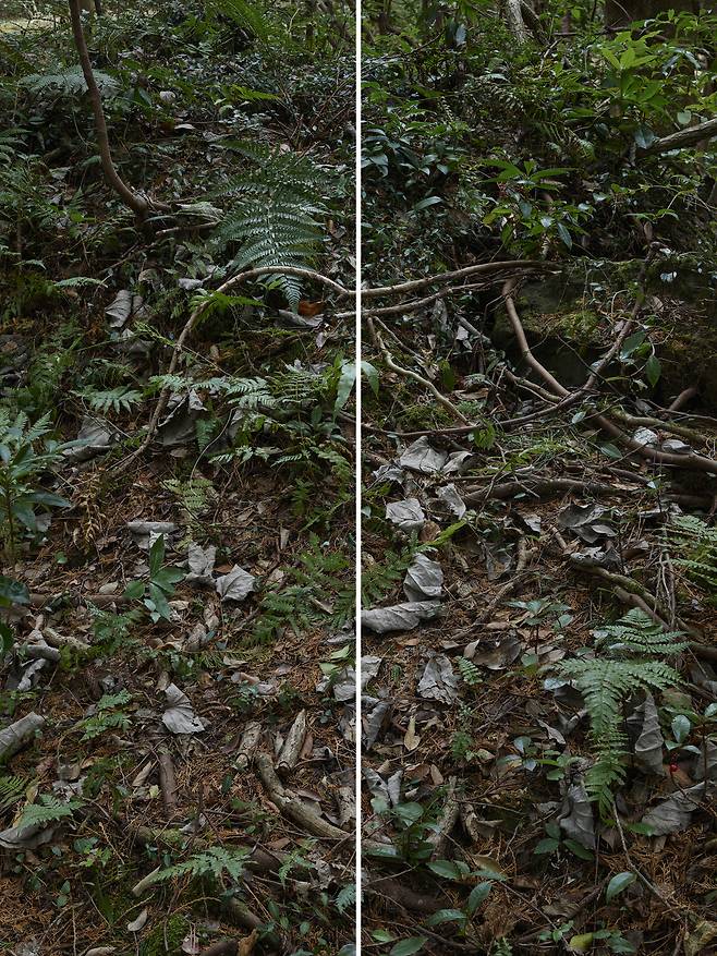 윌더 Wilder /  Untitled, 165x220cm (a set of 2 panels), Archival Pigment Print / ⓒ 정희승, 고은깁슨미술관 제공