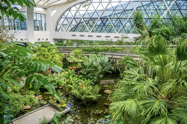 Seoul Botanic Garden (Seoul Tourism Archive)