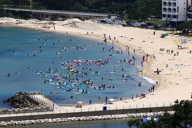 서퍼들로 붐비는 강원도 양양 해변 모습 [사진 = 연합뉴스]