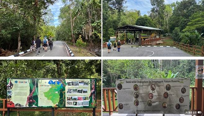 세멩고 야생센터 / 사진=홍지연 여행+ 기자