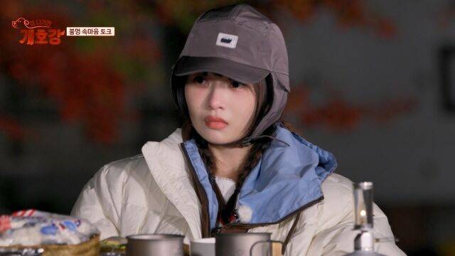 '집 나가면 개호강'/JTBC