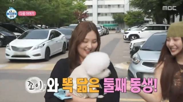 MBC ‘나 혼자 산다’ 캡처