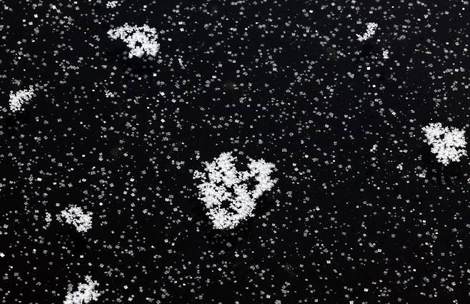 염전 바닥 위에 천일염 결정들이 맺혀 있다. 눈송이처럼 생긴 결정은 바닷물이 태양과 바람을 견디며 일곱 날 동안 빚어낸 작품이다.