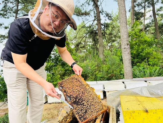 김동원 국립농업과학원 양봉과 연구사 [촬영 김진방]