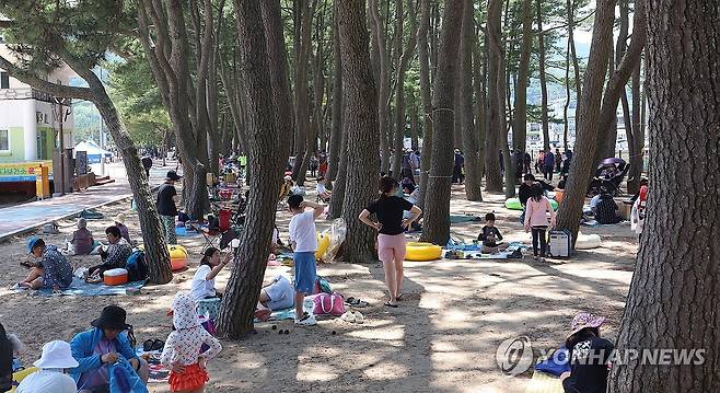 울창한 소나무 숲 아래서 (남해=연합뉴스) 김동민 기자 = 폭염이 이어진 12일 오후 경남 남해군 상주면 상주은모래비치에 있는 소나무 숲 주변에서 피서객이 쉬고 있다. 2025.7.12 image@yna.co.kr