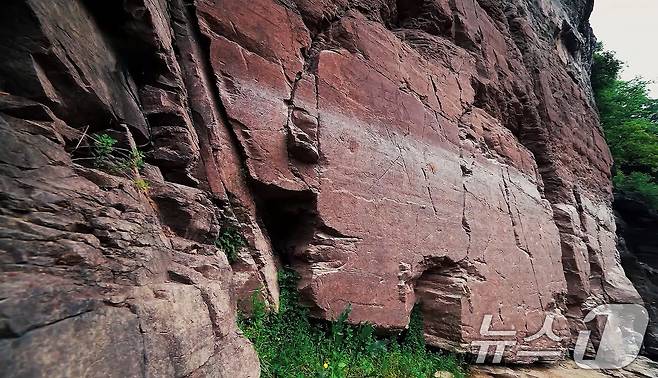 12일(한국시간) 제47차 유네스코 세계유산위원회에서 선사시대 생활문화를 엿볼 수 있는 바위그림인 '반구천의 암각화'를 세계유산 목록에 등재하기로 결정했다. 사진은 울주 대곡리 반구대 암각화의 모습. (국가유산청 제공. 재판매 및 DB금지) 2025.7.12/뉴스1
