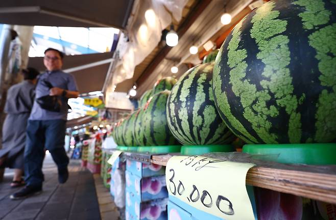 자료 사진/뉴스1