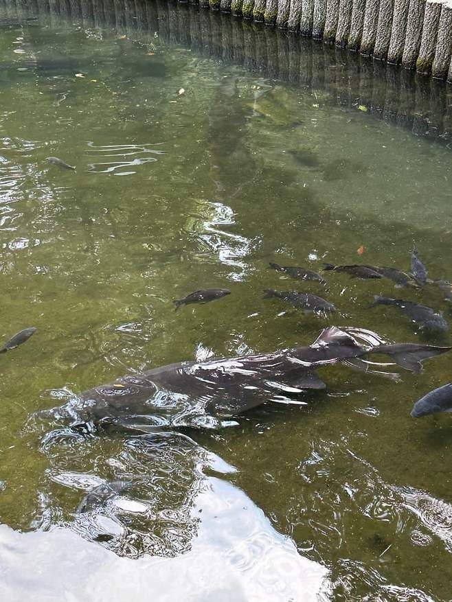 0feff171b2861ef4239e80e4459c70696faacdb1135ba9c8c55cd566e8e4f77b67cdf2a5de1fd38f80df297cfb4f98052f8570db