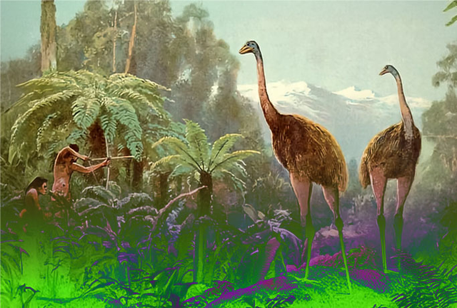 자이언트 모아 복원 이미지.  <클로설 마이오사이언스 제공>