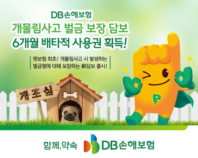 [DB손해보험 제공]