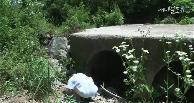 산골소년이 인간극장 제작진 반겨주는 법.jpg