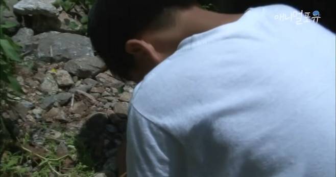 산골소년이 인간극장 제작진 반겨주는 법.jpg