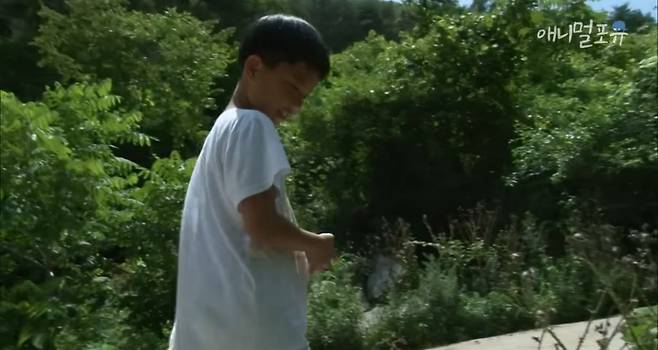 산골소년이 인간극장 제작진 반겨주는 법.jpg