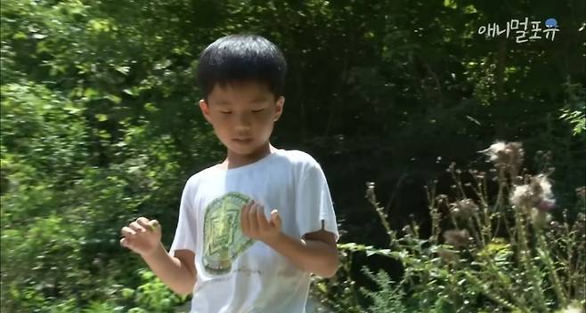 산골소년이 인간극장 제작진 반겨주는 법.jpg