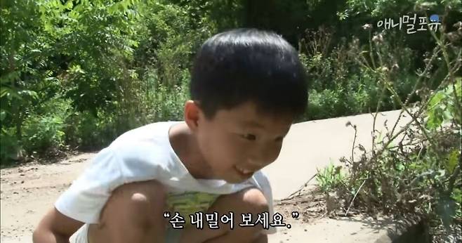 산골소년이 인간극장 제작진 반겨주는 법.jpg