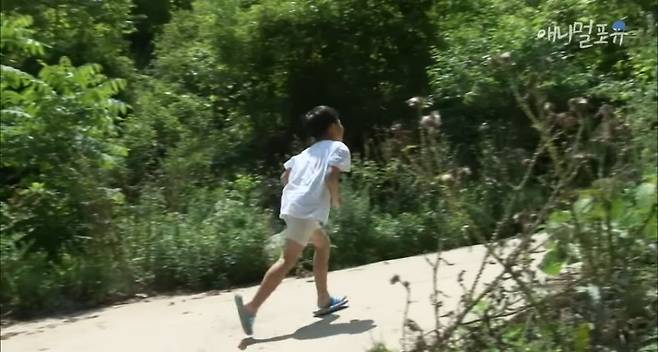 산골소년이 인간극장 제작진 반겨주는 법.jpg