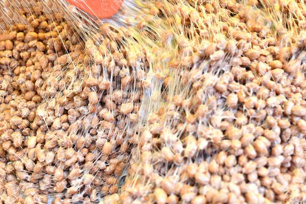 클립아트코리아