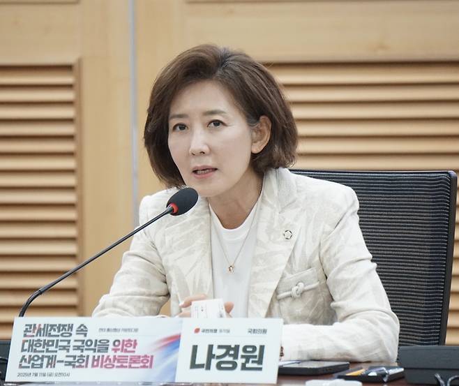 나경원 국민의힘 의원.