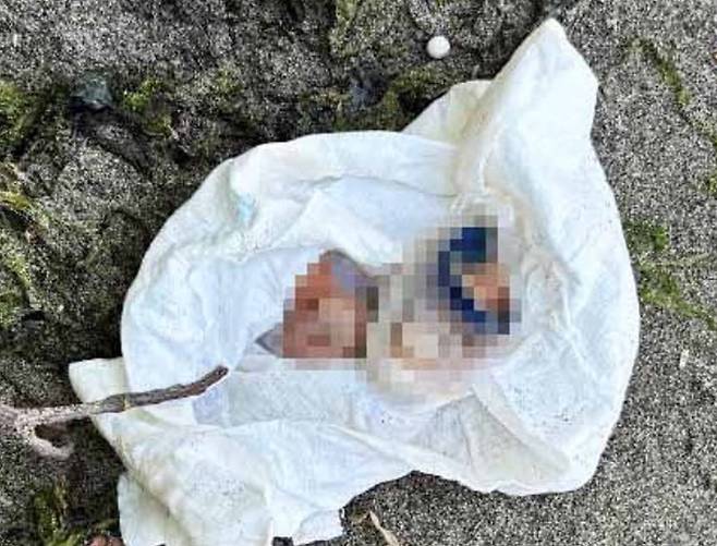 미국에서 한 남성이 해변을 산책하던 중 발견한 선물 상자 안에서 잘린 사람의 발가락을 발견했다. /사진=데일리메일