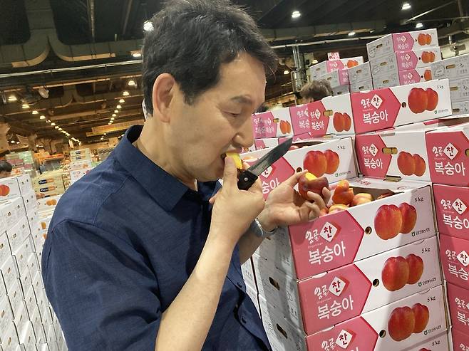이재희 중앙청과 본부장이 오늘 시장에 들어온 복숭아의 상품성을 판단하기 위해 맛을 보고 있다. 손인규 기자