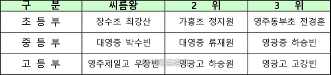 개인전 입상자