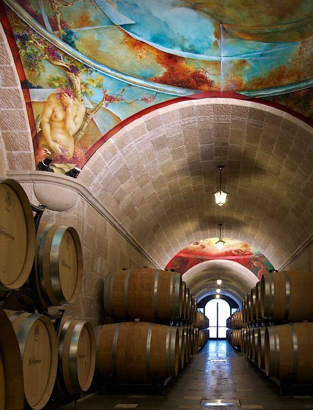 마스트로베라르디노 셀러 전경. 홈페이지