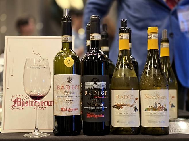 마스트로베라르디노 와인. 최현태 기자