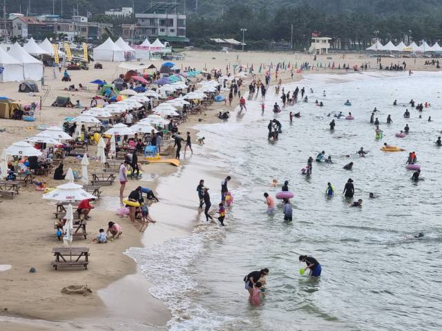 양양 남애해변 전경. 뉴스1
