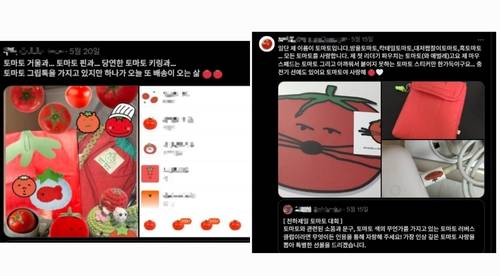 자신의 토마토 굿즈를 자랑하는 누리꾼들 [엑스 캡처. 재판매 및 DB 금지]