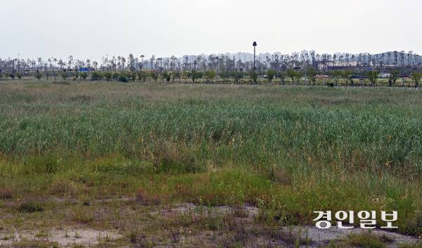 14일 방치되어 있는 인천시 중구 세계한상드림아일랜드 사업 부지의 모습. 2025.7.14 /김용국기자 yong@kyeongin.com