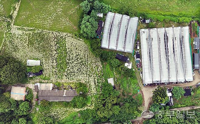 정부가 농막을 '농촌체류형 쉼터'로 전환하는 제도를 시행했으나, 경기 지역의 전환 건수가 최하위를 보여 전환 유인책이 필요하다는 지적이 나오는 가운데 수원시 당수동 한 농가에 농막들이 설치돼 있다. 김경민기자
