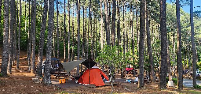 광양시는 본격적인 캠핑 시즌을 맞아 대표 아웃도어 공간을 추천했다. 사진은 금천계곡야영장(사진 上)과 백운산자연휴양림(사진 下). <광양시 제공>