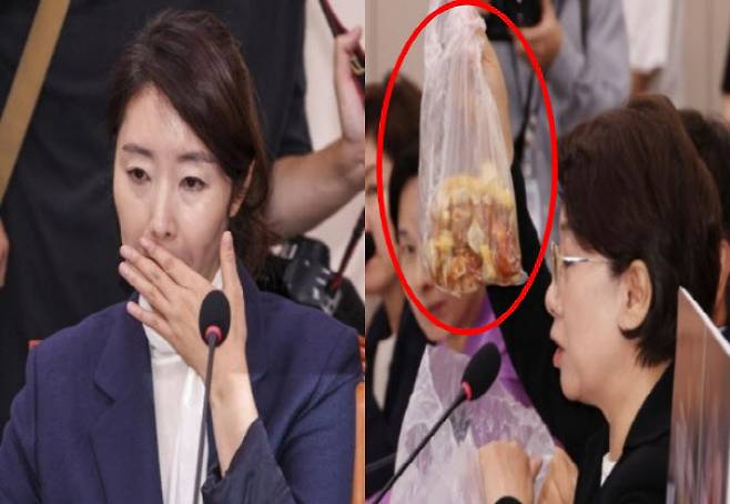 (사진=뉴시스, 연합뉴스)