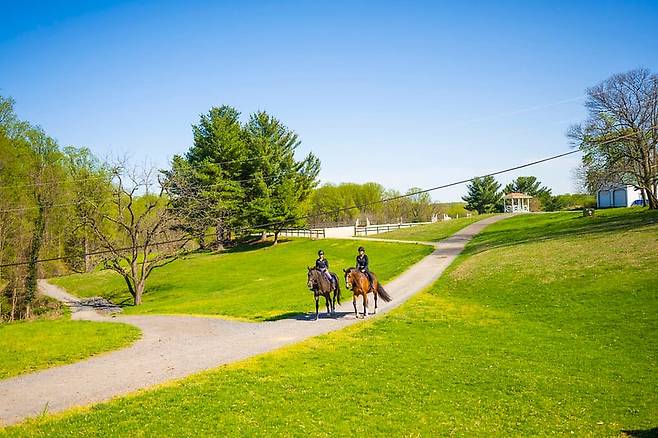 학생들이 교내에서 말을 타고 있는 모습. /학교 홈페이지