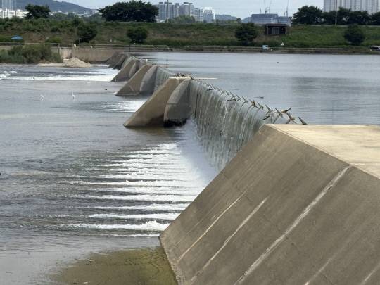 청주시 흥덕구 미호강 작전보 전경. 김동민 기자