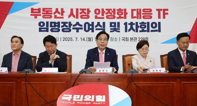 송언석(가운데) 국민의힘 비상대책위원장 겸 원내대표가 14일 국회에서 열린 부동산 시장 안정화 대응 TF 임명장 수여식 및 1차 회의에서 발언하고 있다. [연합뉴스]