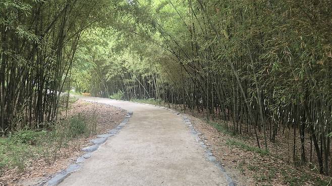 지난 13일 울산 울주군 대곡리 반구대 암각화 전망대로 가는 길. 주성미 기자