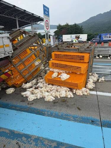 오산 오산화성고속도로 수원방향 서오산톨게이트 인근 화물차 경계석 충돌사고 현장. 연합뉴스