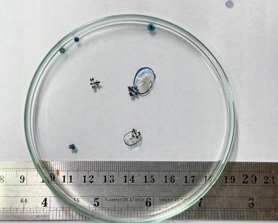 [출처=방콕포스트]