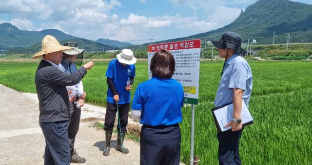▲곽도연 국립식량과학원 원장은 14일 전라남도 장흥에 있는 친환경 벼재배 단지를 방문해 벼 생육 상태를 점검하고 농업인과 기술센터 관계자들과 소통의 시간을 가졌다. ⓒ농촌진흥청