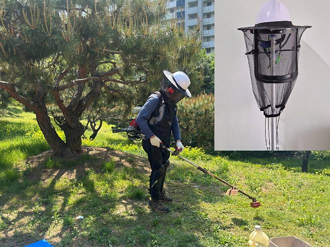 예초 작업자가 '벌망 일체형 예초용 안전모'를 착용하고 일하는 모습 [도봉구 제공. 재판매 및 DB 금지]