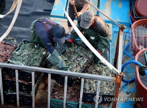 꽃게 잡이 [연합뉴스 자료사진]