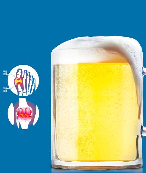 그래픽/박성현기자 pssh0911@kyeongin.com/클립아트코리아