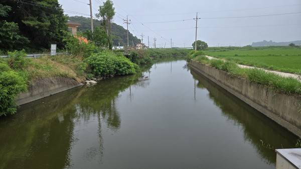 &nbsp;강화군 하천 [경인방송 DB]