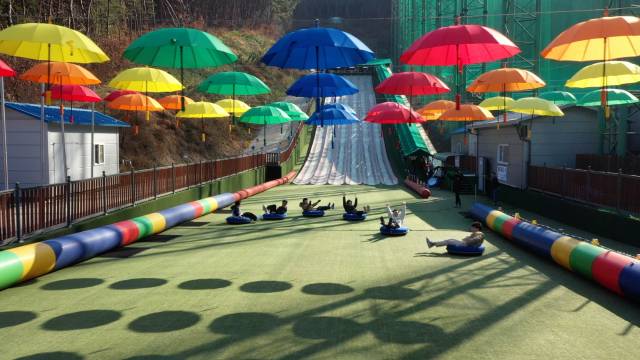 단양사계절썰매장이 오는 18일~8월 17일, 한 달간 야간 운영에 들어간다. 단양군 제공